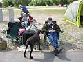 IMG_1221