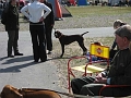 IMG_1226