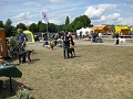 IMG_1246