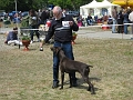 IMG_1247