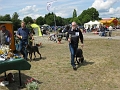 IMG_1248