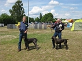 IMG_1255