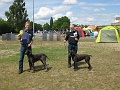 IMG_1257