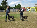 IMG_1259